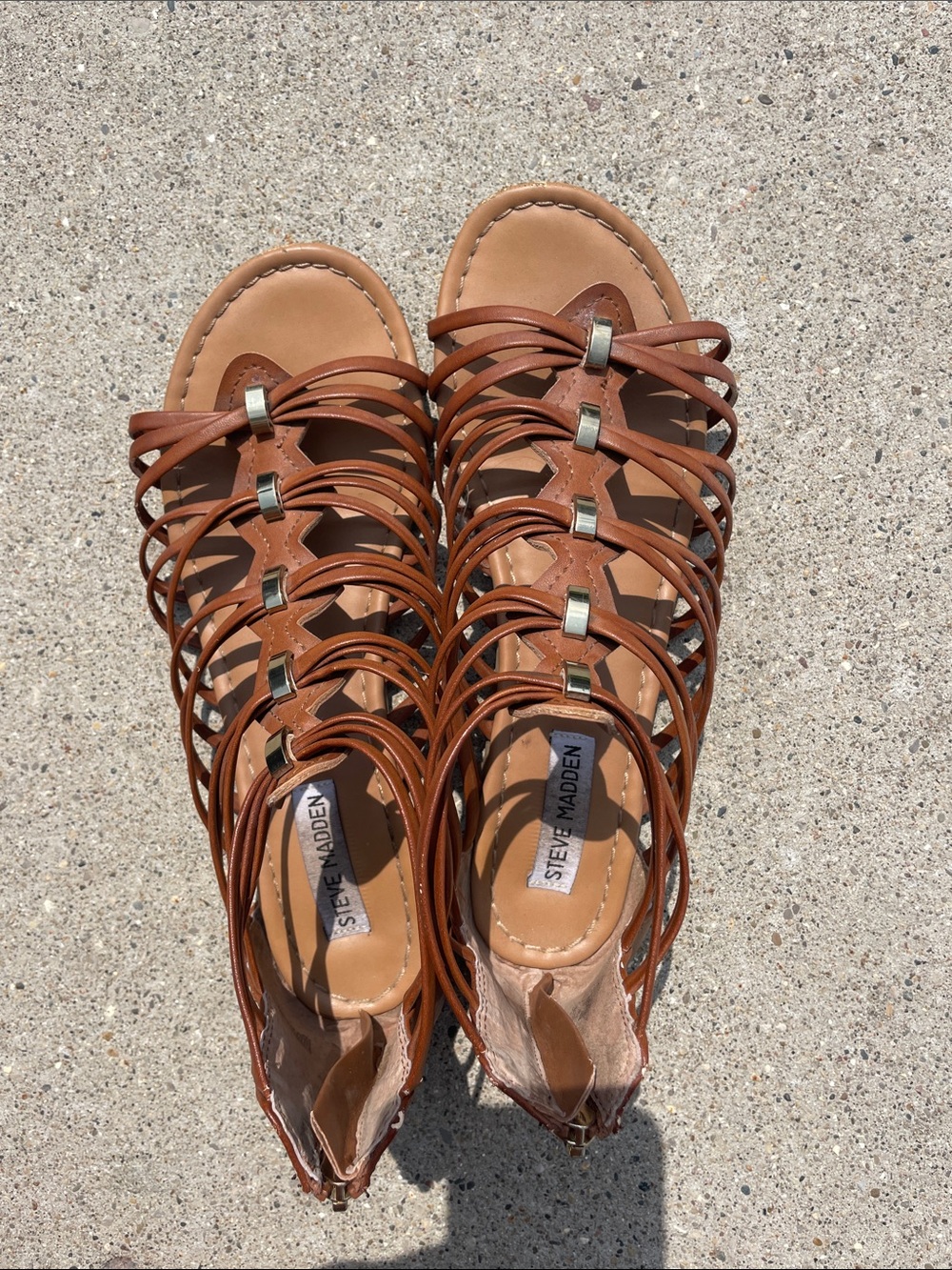 Steve Madden Brown Multi-Strap Gladiator Sandals with Gold Accents